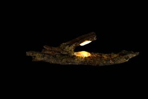 p21b7-fire and life-with-moss-and-charcol-with-a-spear-light-finished-with-a-hollowed-quartz-crystal-l-e-d-light