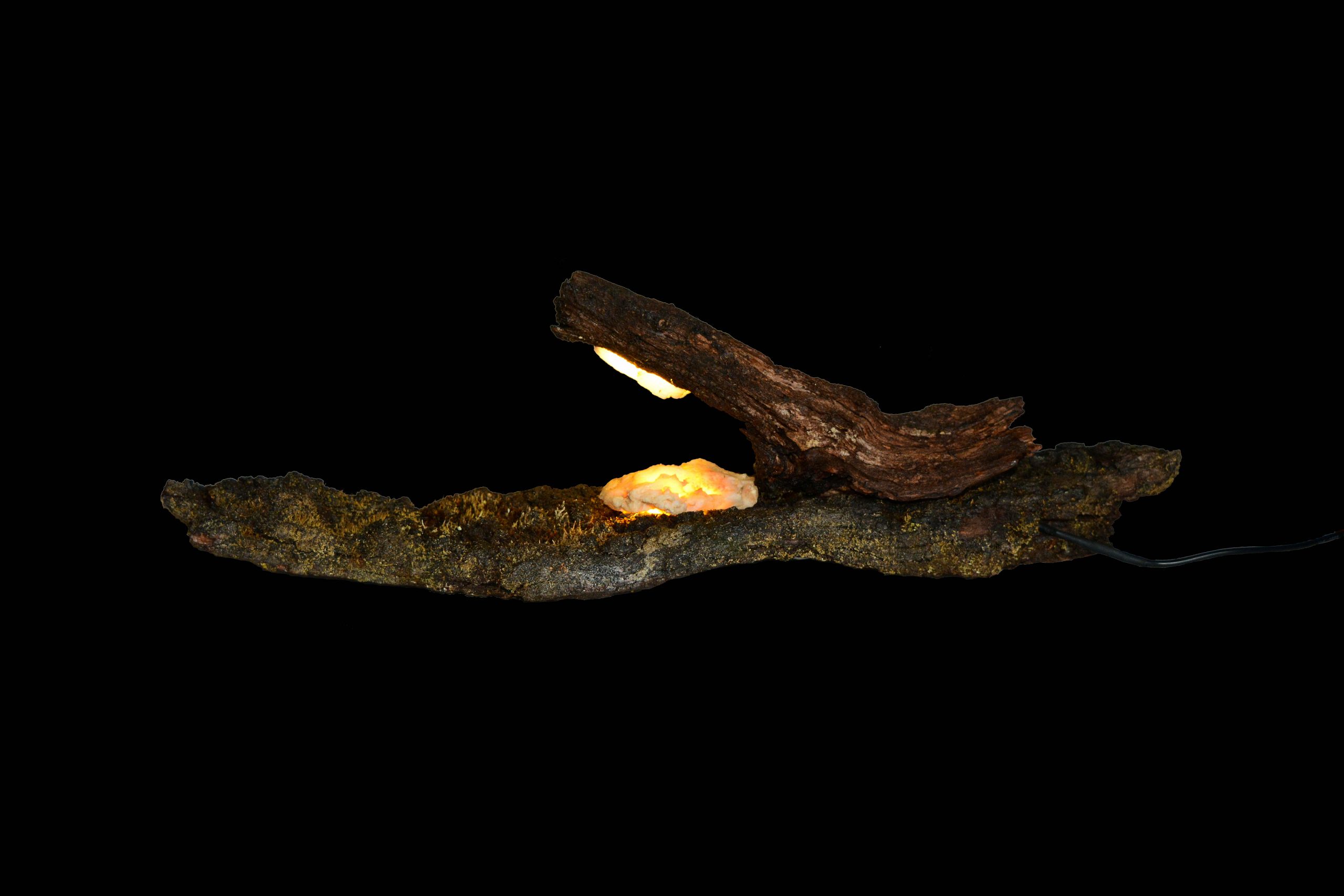 p21b7-burnt-wood-base-with-moss-and-charcol-with-a-spear-light-finished-with-a-hollowed-quartz-crystal-l-e-d-light-left