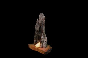 P23B9 - Petrified wooden tree trunk with a glowing centre