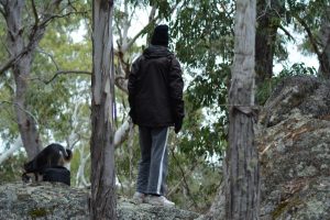 searching-through-acres-of-bush-with-our-kelpie-viking-in-tow-to-find-the-perfect-pieces-for-our-art-works